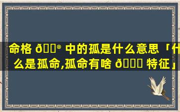 命格 💮 中的孤是什么意思「什么是孤命,孤命有啥 🍀 特征」